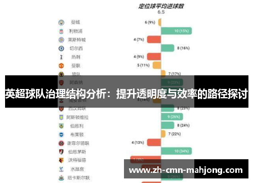 英超球队治理结构分析：提升透明度与效率的路径探讨