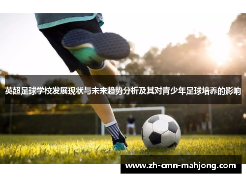 英超足球学校发展现状与未来趋势分析及其对青少年足球培养的影响