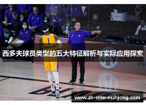 西多夫球员类型的五大特征解析与实际应用探索