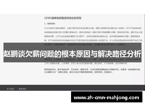 赵鹏谈欠薪问题的根本原因与解决路径分析