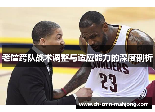 老詹跨队战术调整与适应能力的深度剖析